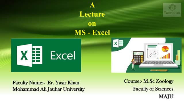 Microsoft Excel