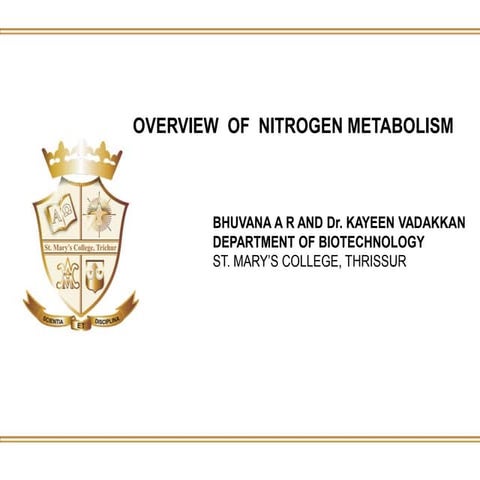 Overview  of  nitrogen metabolism