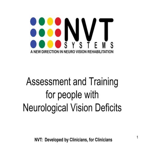 Overview of Neurological Vision Rehabilitation System