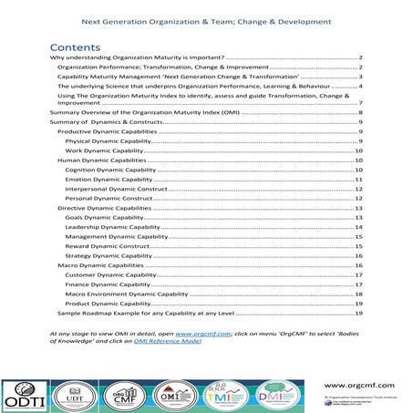 Overview of The Organization Maturity Index