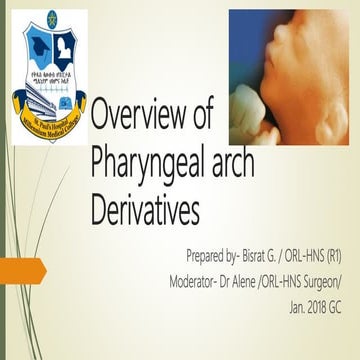 Development of Pharyngeal arches and derivatives.pptx