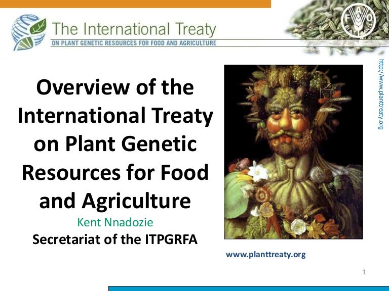 Overview of International Treaty on Plant