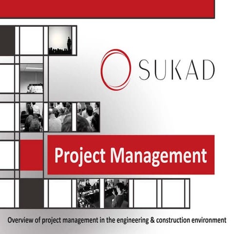 Overview of project management in engineering environment