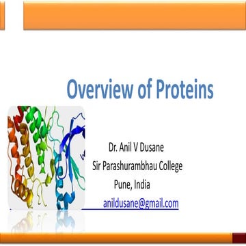 Overview of Proteins