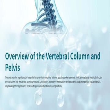 Overview of the Vertebral Column and pelvis....pdf