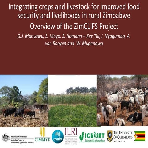 Overview of the zim clifs   fao (october 30) 1