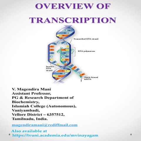 Overview of transcription
