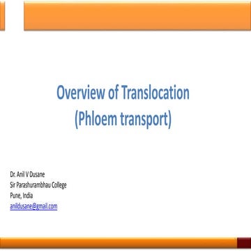 Overview of translocation(Phloem transport)