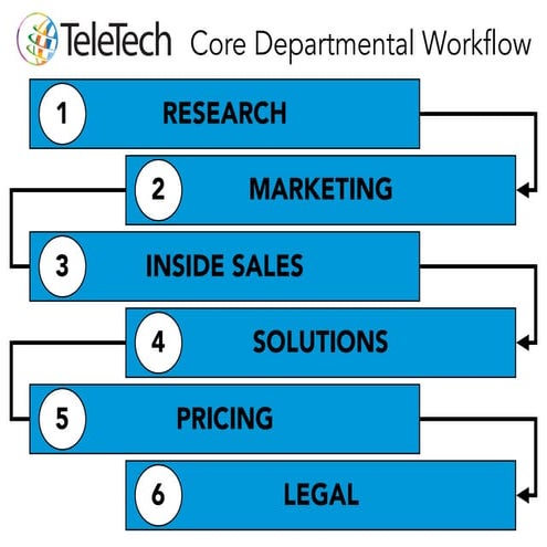 TeleTech Work Flow Overview (Private File)