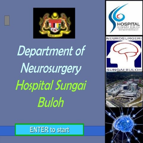 Overview statistics of Head Injury in Malaysia | PPT