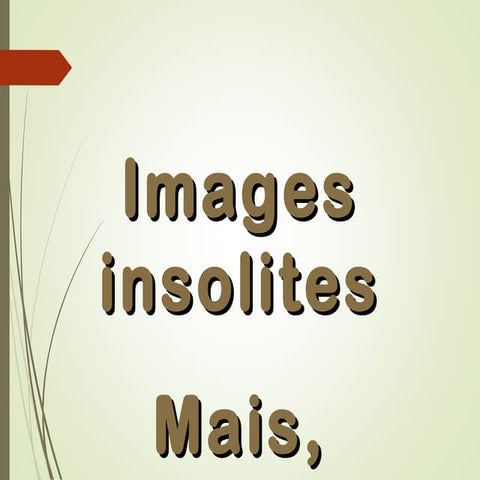 Insolites et amusantes