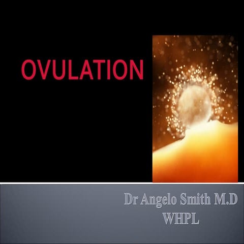 Ovulation