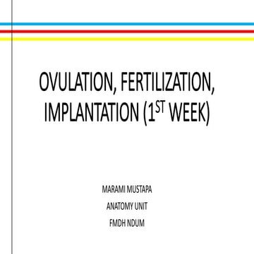 Ovulation, fertilization, implantation (1 st week