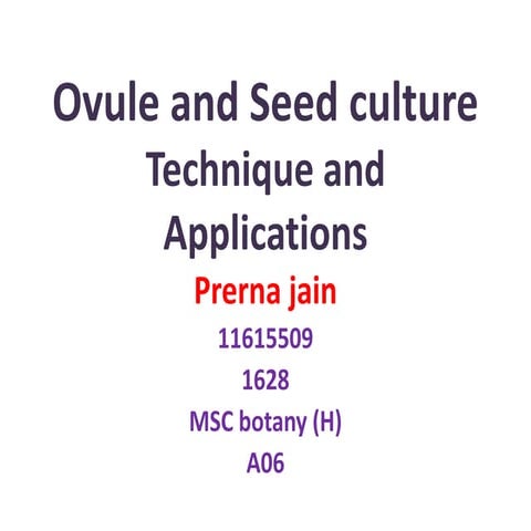 Ovule and seed culture by Prerna Jain