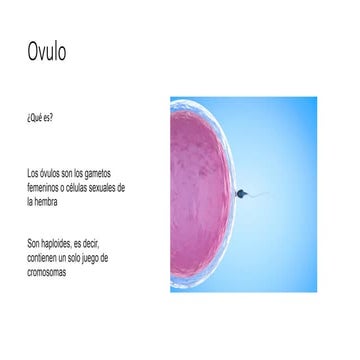 Ovulo- repro.pdf