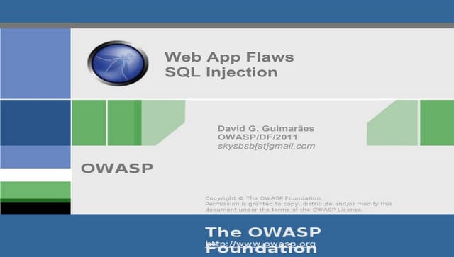 Owasp web app_flaws