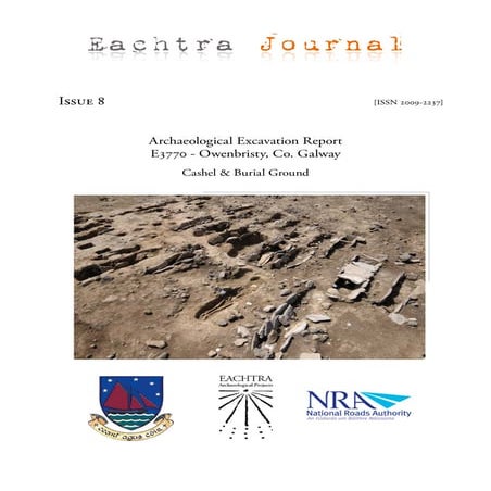 Archaeological Report - Owenbristy, Co. Galway (Ireland)