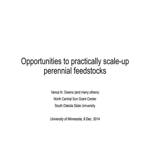 Opportunities to Practically Scale-up Perennial Feedstocks