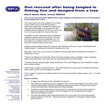 Owl rescued after being tangled in fishing line and dangled from a tree