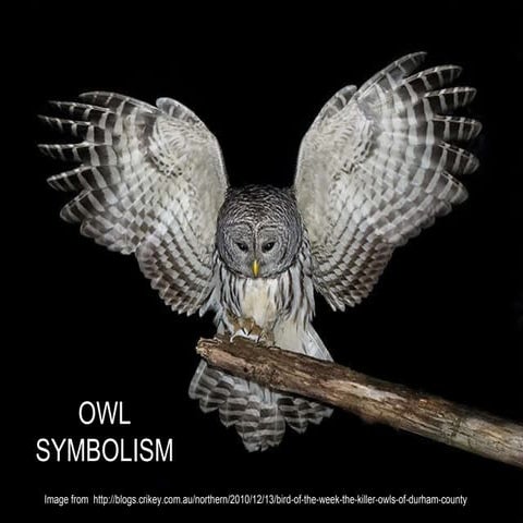 Owl symbolism | PPT