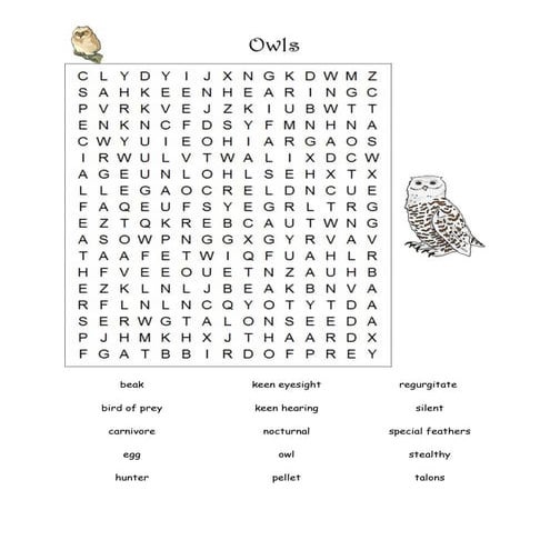 Owl wordsearch