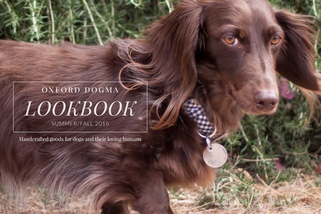 Oxford Dogma catalog of handcrafted dog accessories