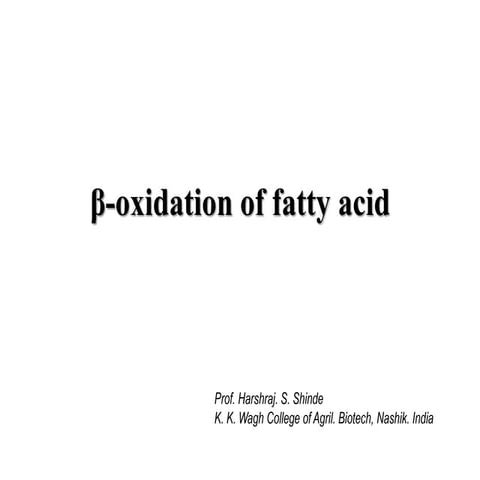 β Oxidation of fatty acid