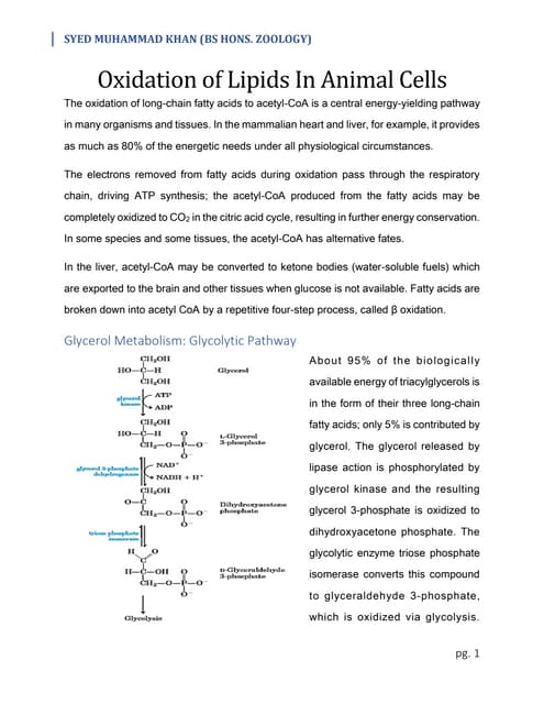 Beta oxidation of fatty acid | PDF