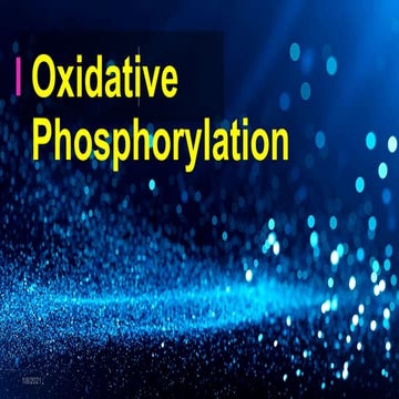 Oxidative phosphorylation