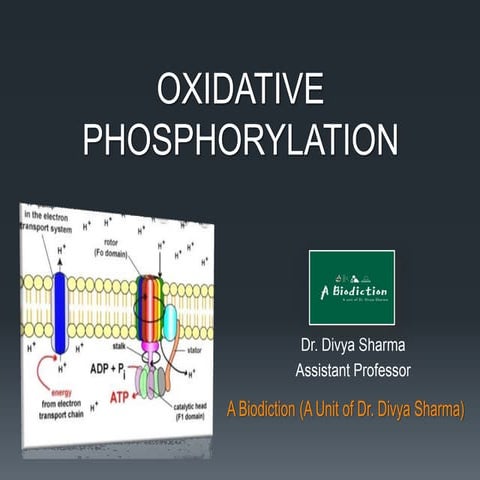 Oxidative Phosphorylation | PPT