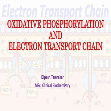 Oxidative phosphorylation and electron transport chain