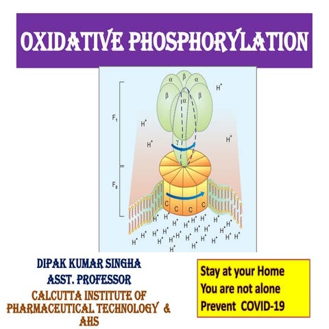 BIOLOGICAL OXIDATION L4 (Oxidative phosphorylation)