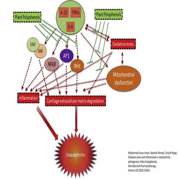 Oxidative stress and inflammation.pptx