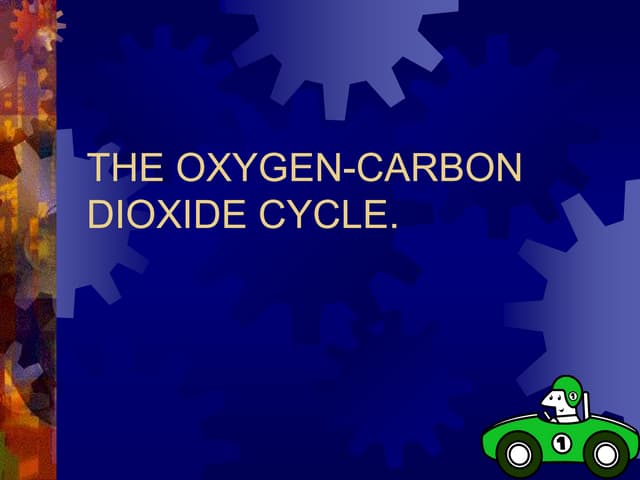 Oxygen co2 cycle