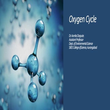 Oxygen cycle