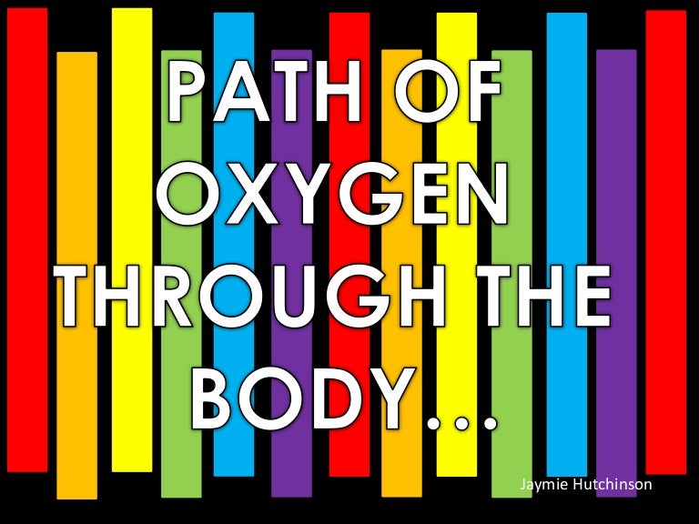 Oxygen through the body