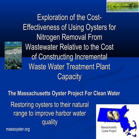 Exploration of the Cost-Effectiveness of Using Oysters for Nitrogen Removal F...