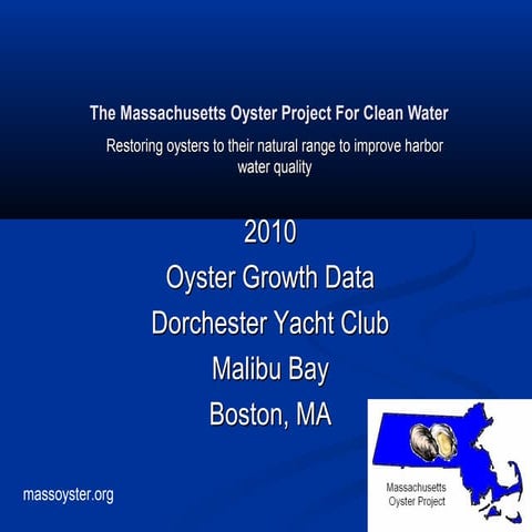 Pilot Oyster Restoration Data Dorchester, Massachusetts