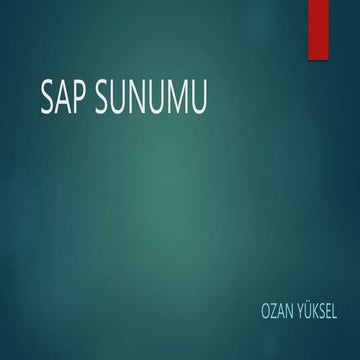 Ozan yüksel130908033 sap sunumu