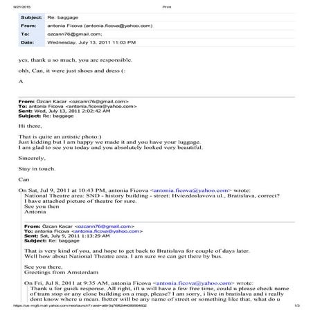 Professional Tour Guide?