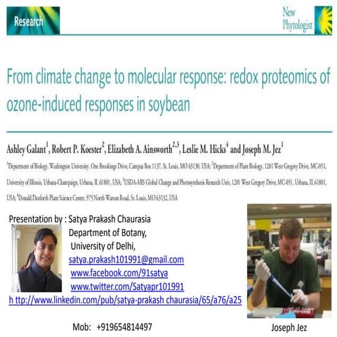 Ozone effects on plants...