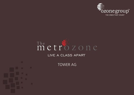 Metrozone ozone group review | PPT