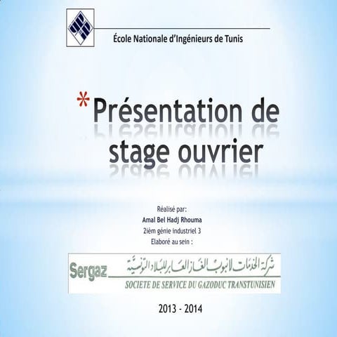 Stage Ouvrier SERGAZ