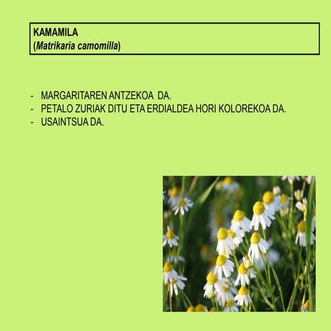 P.p sendabelarrak | PPTX