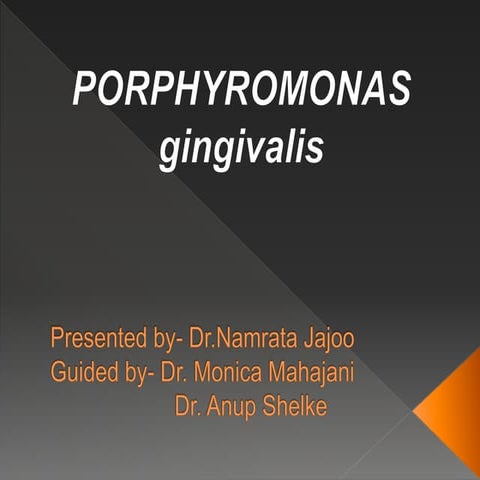 P.gingivalis seminar