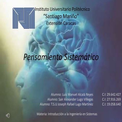 Pensamiento sistemático 