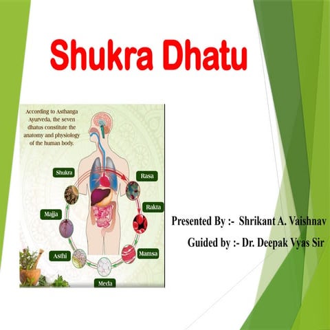 P.2.A.8.Shxbdhxjxjdhdhjojukra Dhatu.pptx