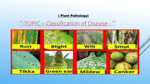 Classification of plant disease | PPTX