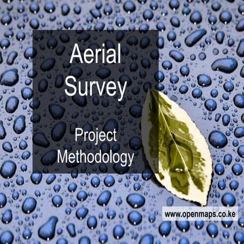Aerial /Drone survey