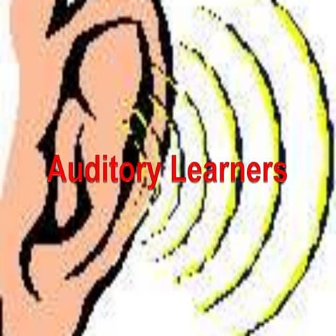 P.p auditory